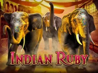 Indian Ruby